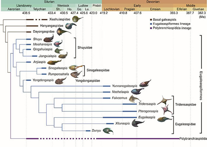 ������ѧ��¼����4.1����ǰ���������������㻯ʯ��ʾ�����ؼ������ݻ�