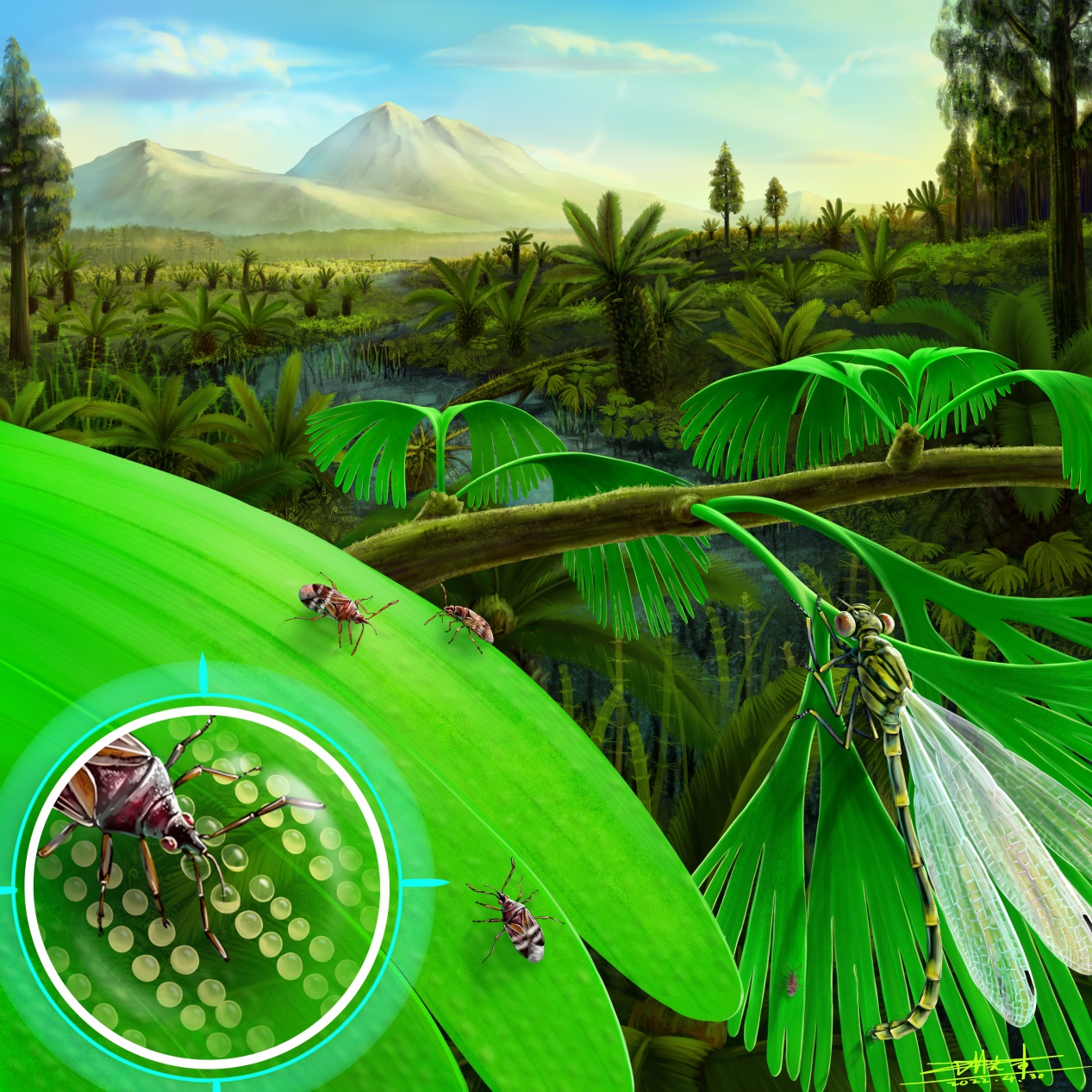 首次为地质历史时期植内产卵昆虫的生殖生物学和行为学提供直接化石证据
