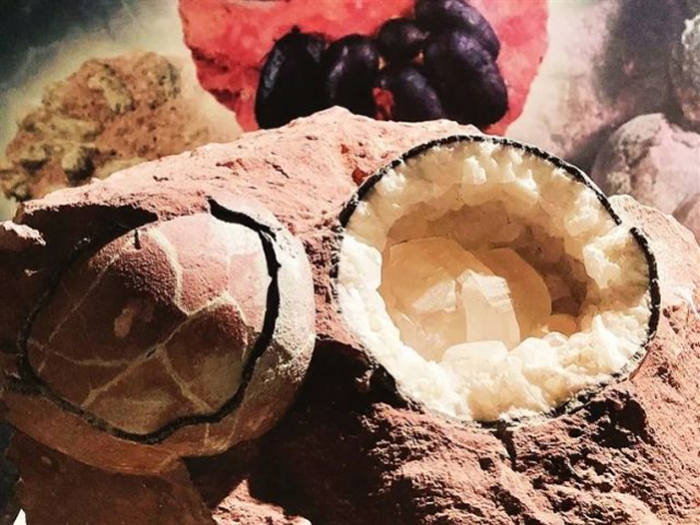 恐龙蛋化石记载的“河源侏罗纪”档案 超2万枚!