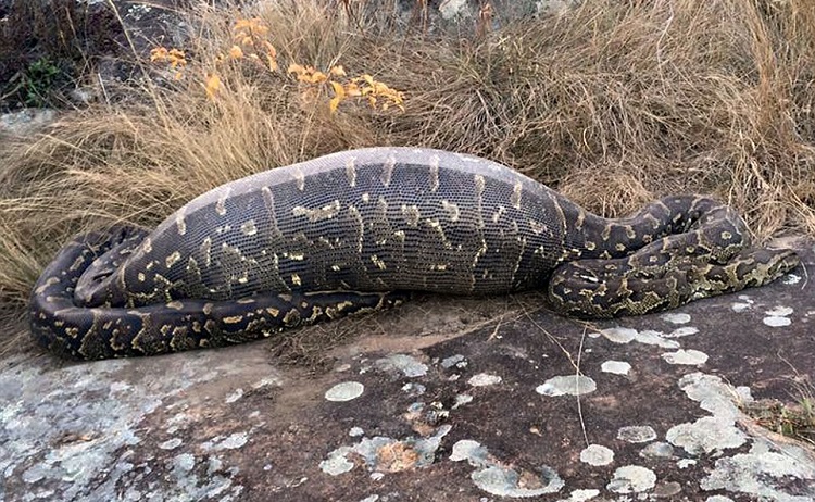 �Ϸ�˽��Ұ�����ﱣ����һ����3.9���ߵ��������º�����������Ĳ���