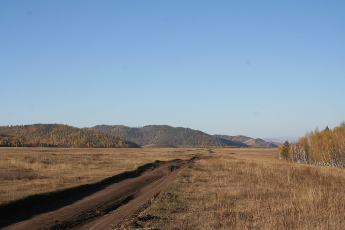 以少数树种和草原为主的针叶林横跨北半球的广大地区。这里：蒙古北部。(CREDIT:P Weigelt)