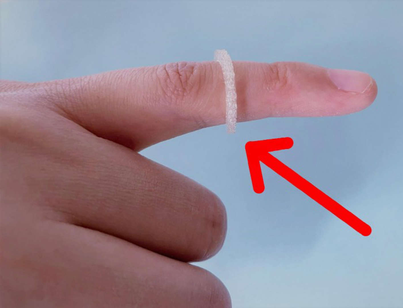 马丁路德大学哈雷维滕贝格分校科学家发明一种新型的形状如戒指的驱虫装置