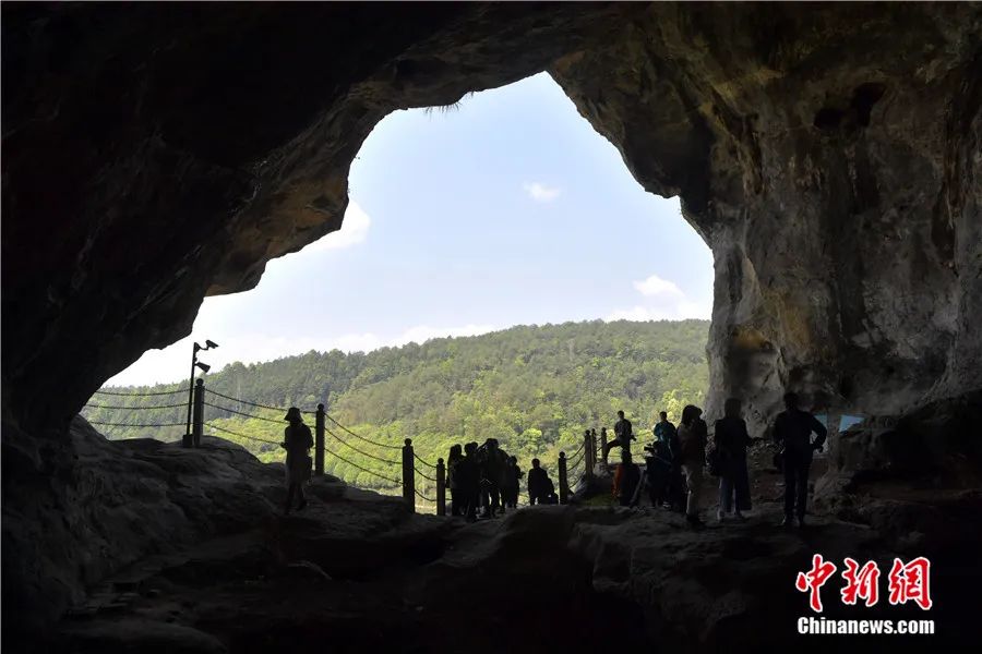 专访福建博物院院长傅柒生:“人类最早的室内装修工程”在哪里?