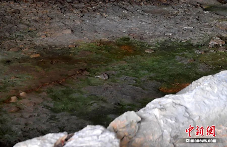 专访福建博物院院长傅柒生:“人类最早的室内装修工程”在哪里?