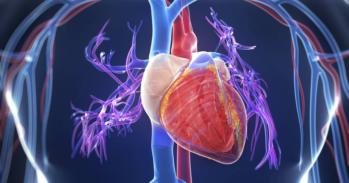 最新研究发现心脏病发作前大约一个月时患者可能会出现7个明显症状