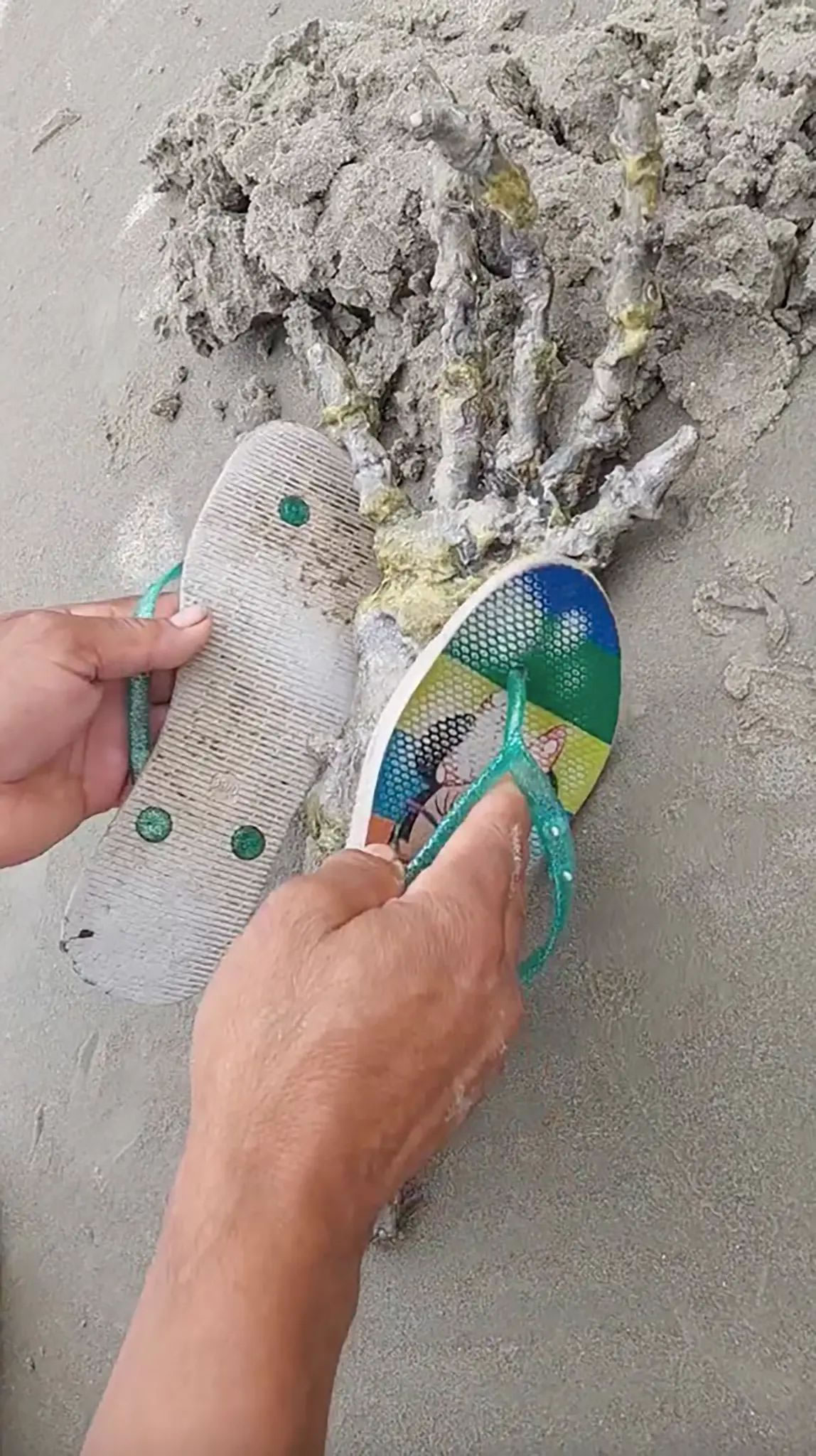 ������̲����һֻ�޴�ġ������ˡ��ֹ�