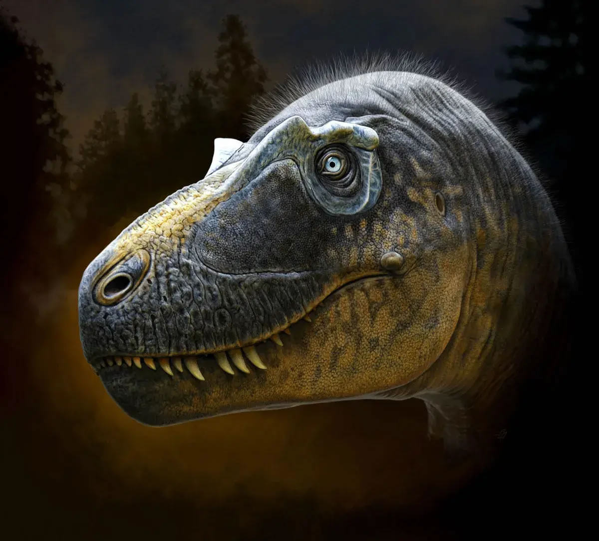 7650ǰDaspletosaurus wilsoniʯ˰оʷϳڴڵĿհ