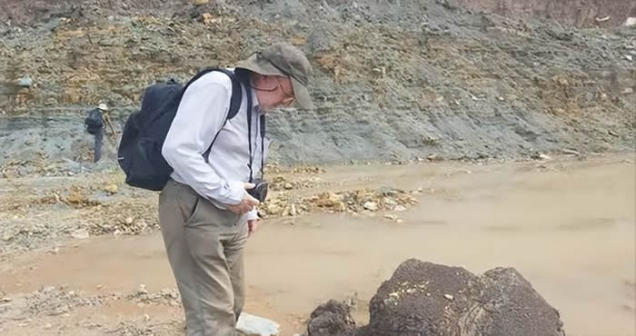 首次发现恐龙化石后 多国专家扩大在柬埔寨寻找化石