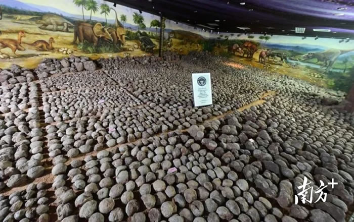 “恐龙产房”河源如何盘活远古“大IP”?