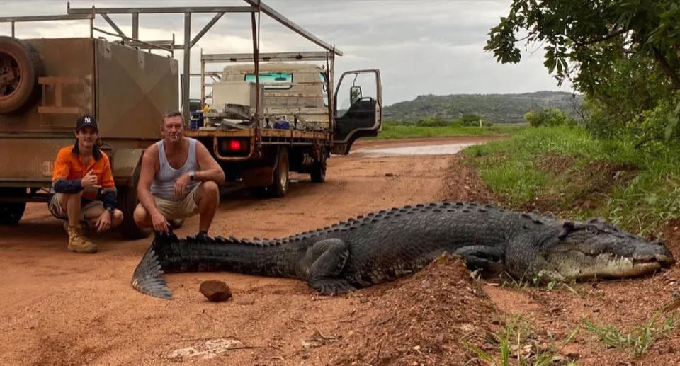 ���ޱ���ذ���ķ������·�Ͼ���3�׳���ˮ�� �³�������׷ɱ