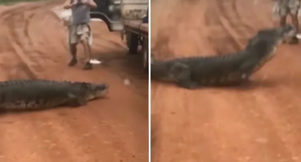 ���ޱ���ذ���ķ������·�Ͼ���3�׳���ˮ�� �³�������׷ɱ