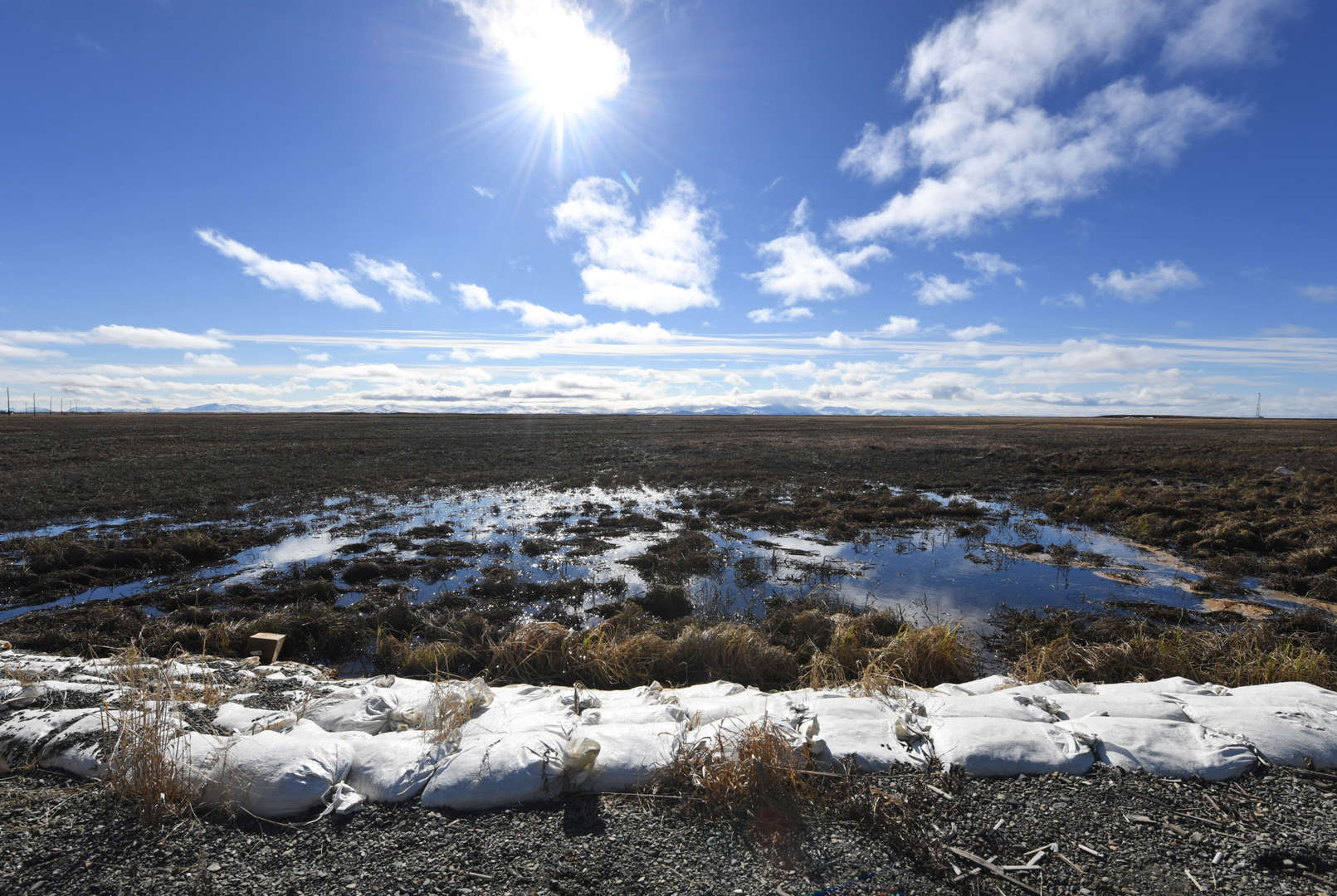 因气候变化 4.85万年前的“僵尸”病毒在融化中的永久冻土中解冻