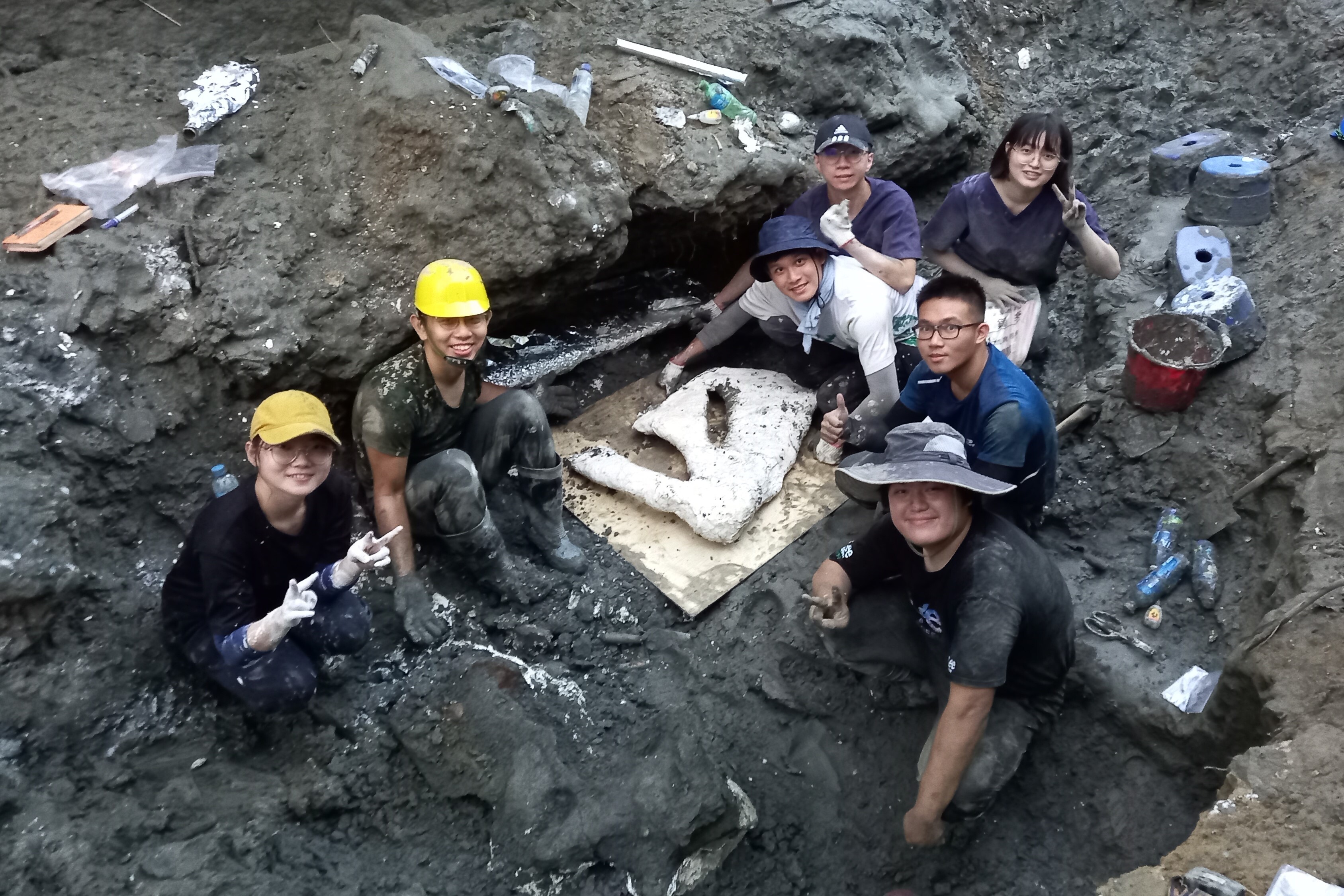 “鲸”奇发现：发掘出台湾史上最完整鲸鱼化石 距今超过8万5千年