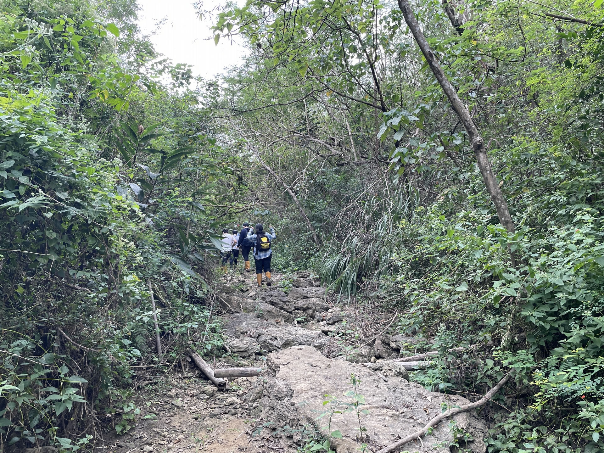 ̨��㴺����ȫ�����������������뾨��ʯ