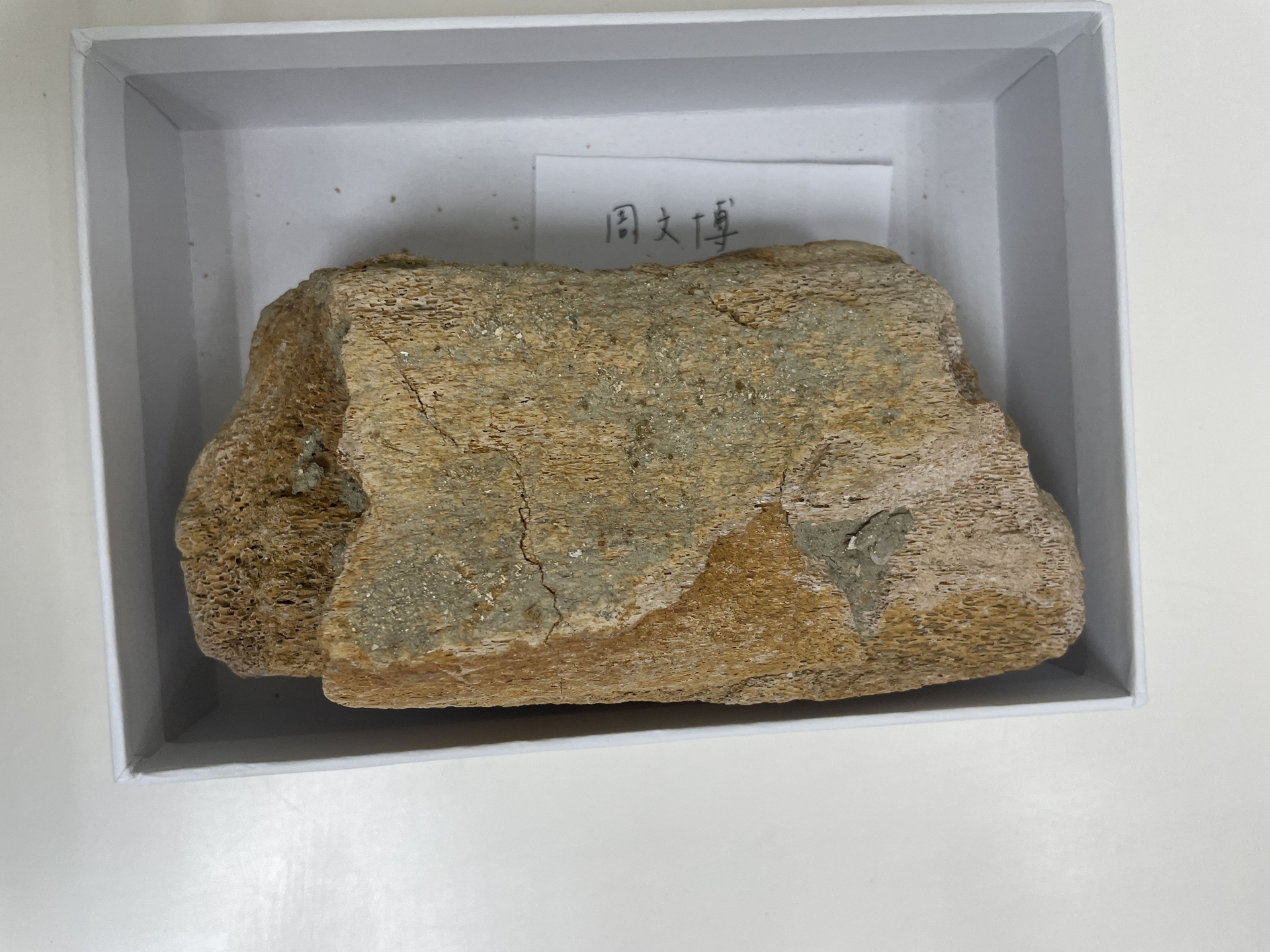 ̨��㴺����ȫ�����������������뾨��ʯ