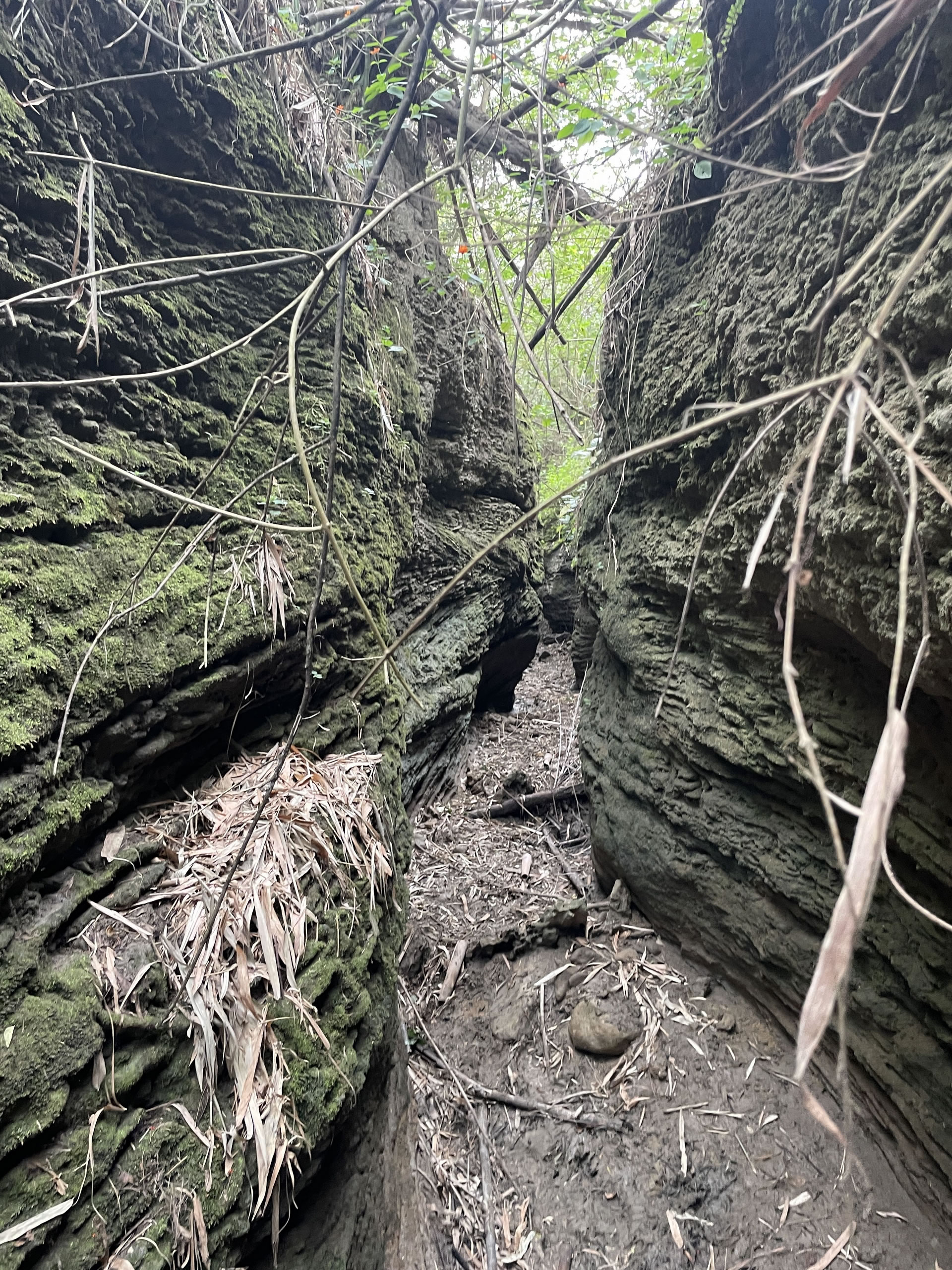 ̨��㴺����ȫ�����������������뾨��ʯ