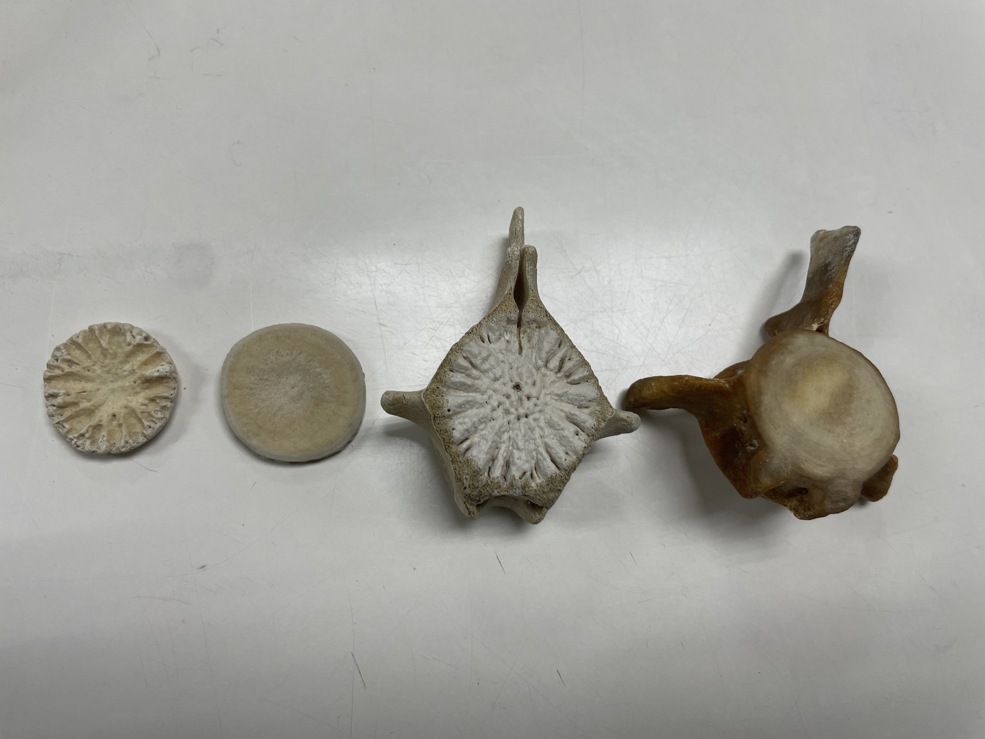 ̨��㴺����ȫ�����������������뾨��ʯ