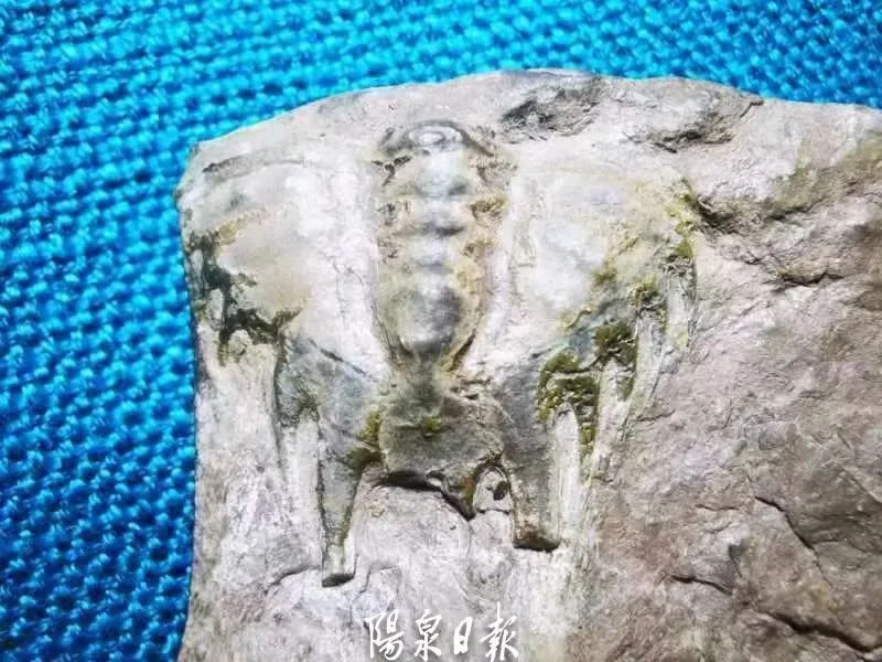 ȪеġʯꡱʵΪһ5.2ǰҶ滯ʯ