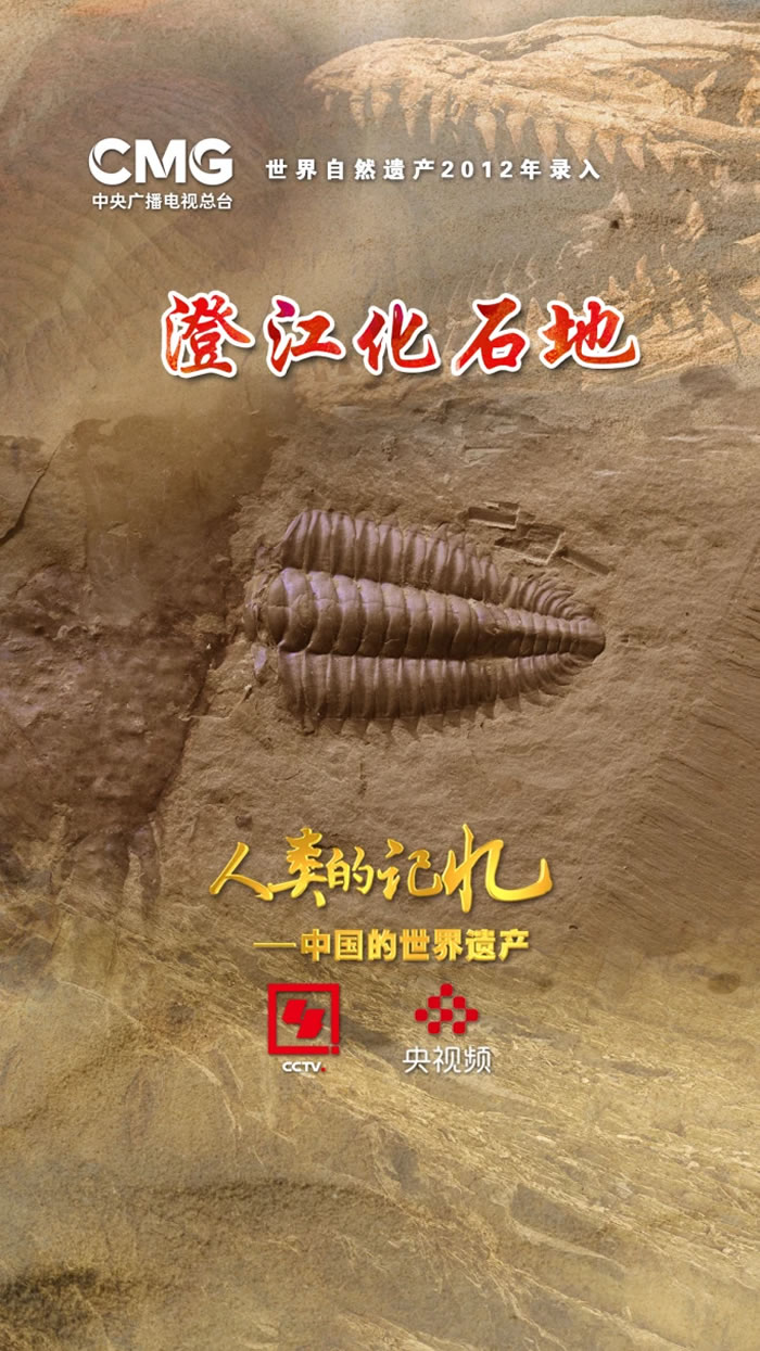 化石中的“山海谜经”——澄江化石地