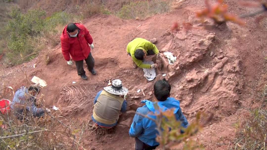 ���ϳ��ۿ�ʼ��9��������ʯ����������Է�����