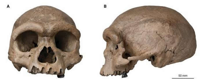 ��ǿ�����о��������о��ɹ����¹���ɭ���������顶��ѧͼ�⡷