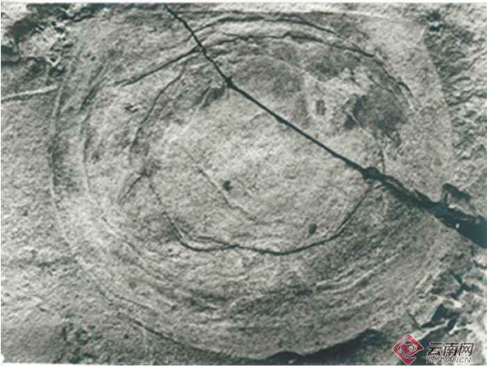 澄江化石群发现者侯先光：揭开5.18亿年前寒武纪生命大爆发面纱