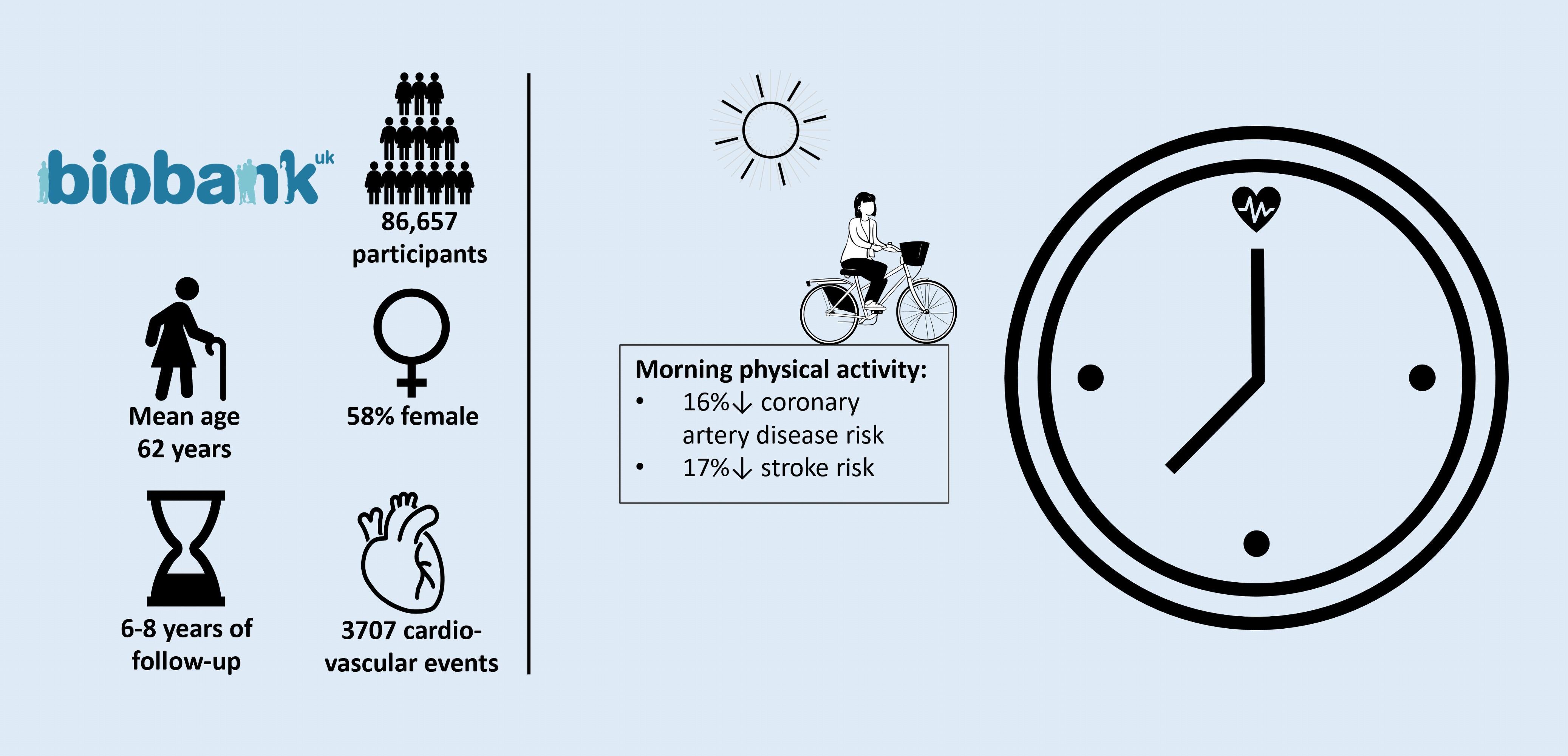 《欧洲预防心脏病学杂志》：早晨锻炼与心脏病和中风的风险最低有关