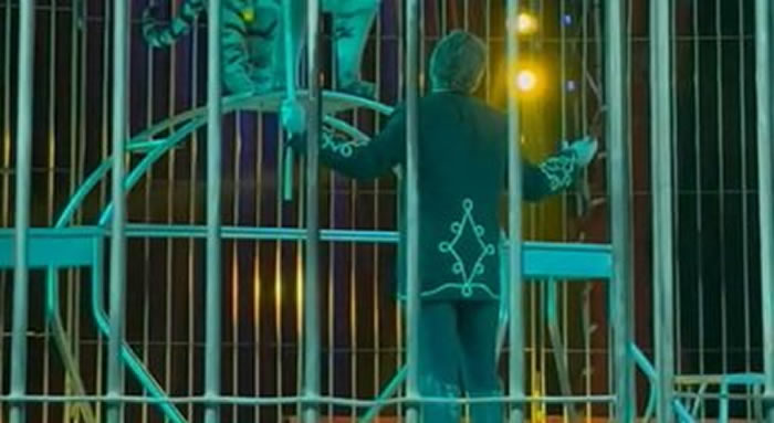 意大利发生马戏团老虎咬人事件