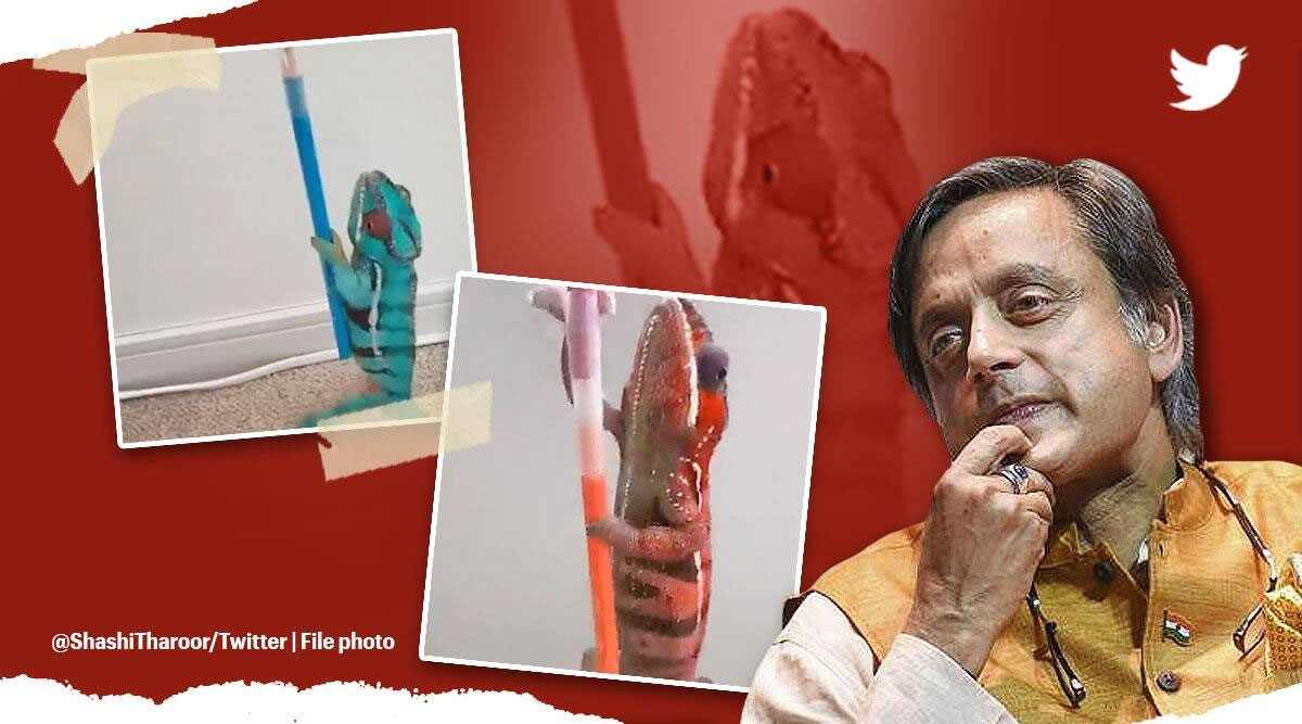 һֻ��ɫ�����ڶ̶�30�����ڸı���4����ɫ