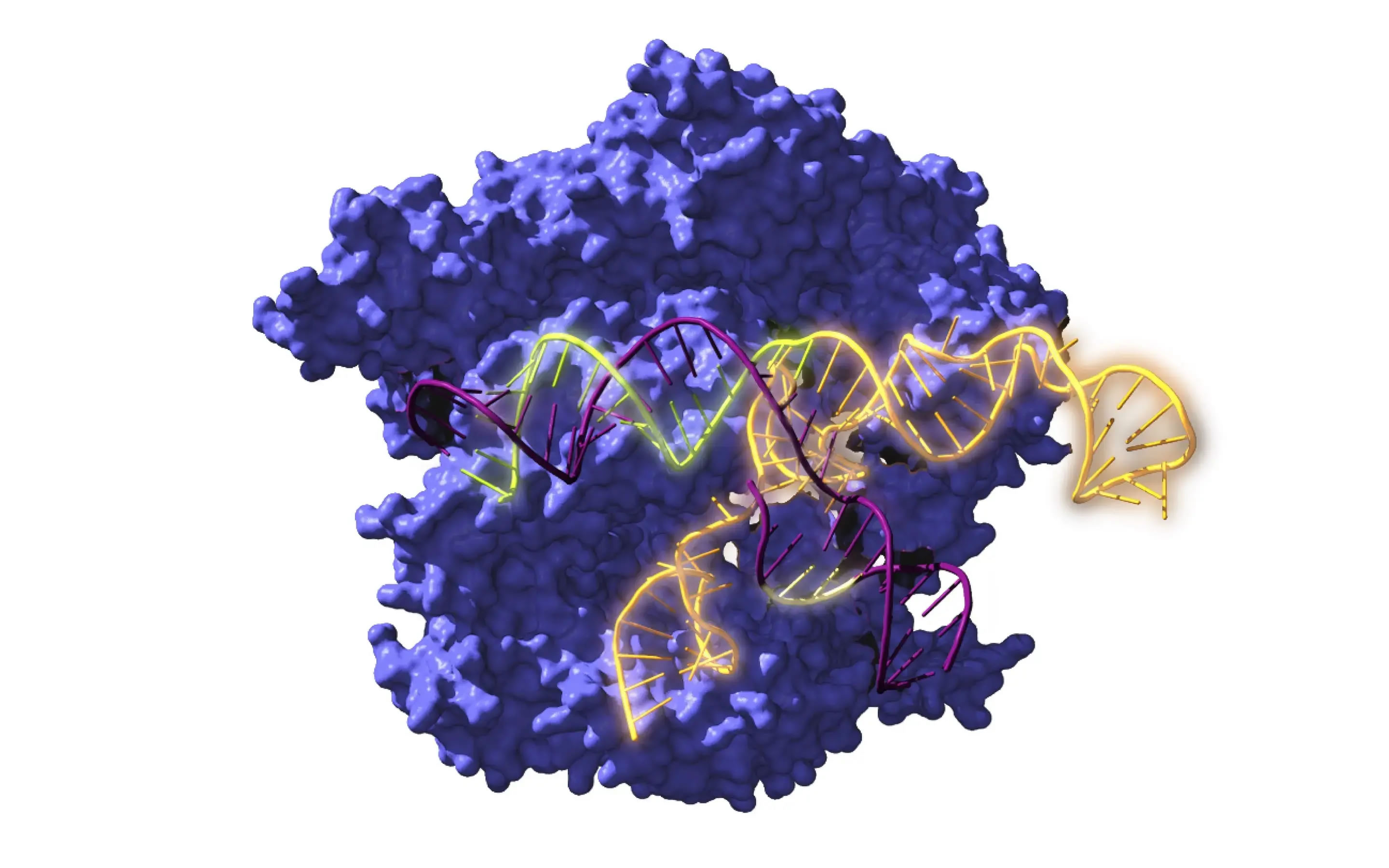 оԱʮǰĹCRISPR ȻԱ༭ϸ