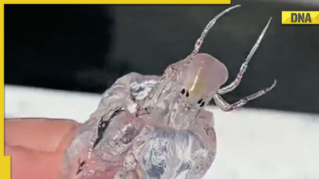 񲶻˵δ֪ ѣ׿දPram bug