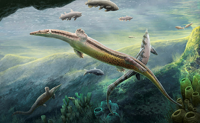 蜥脚下目海生爬行动物祖先的身体形态和适应性辐射