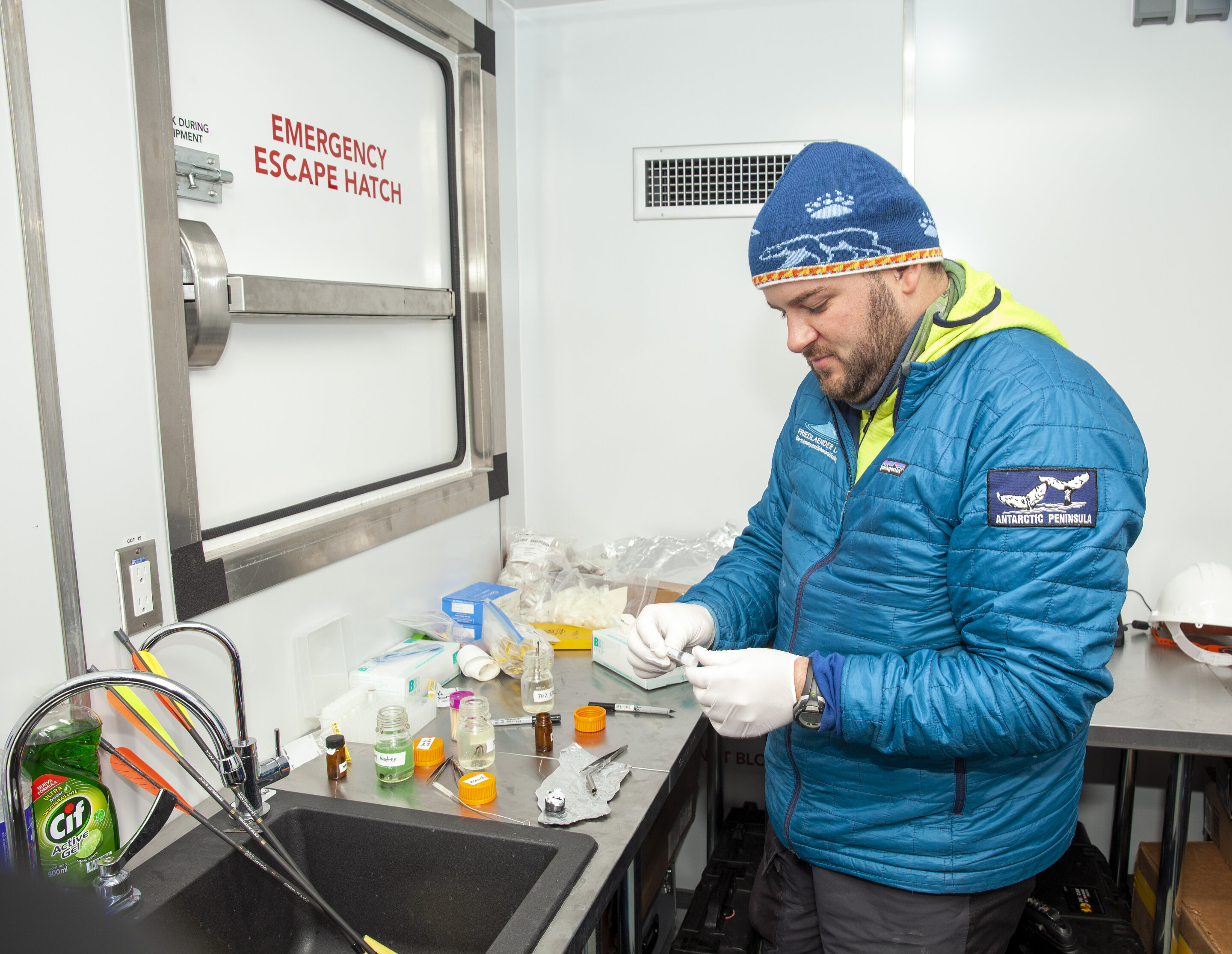 《全球变化生物学》:研究表明磷虾供应减少会影响座头鲸怀孕