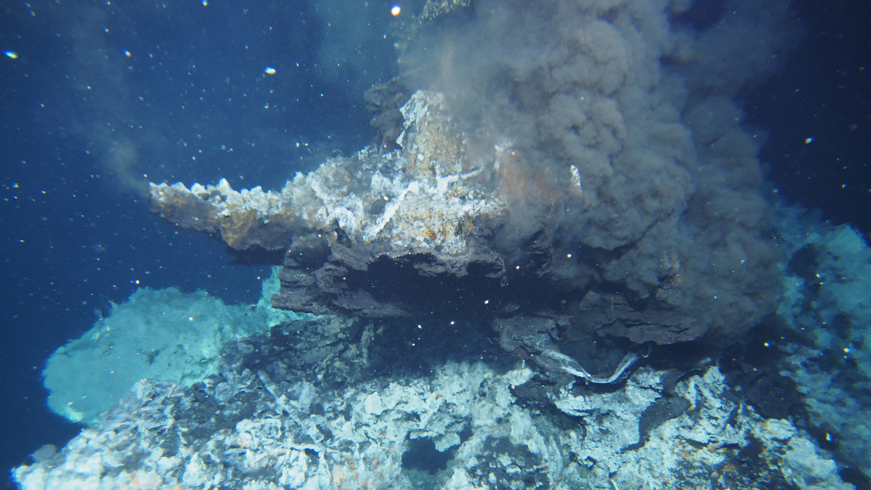深海喷口中的细菌如何处理有毒金属环境