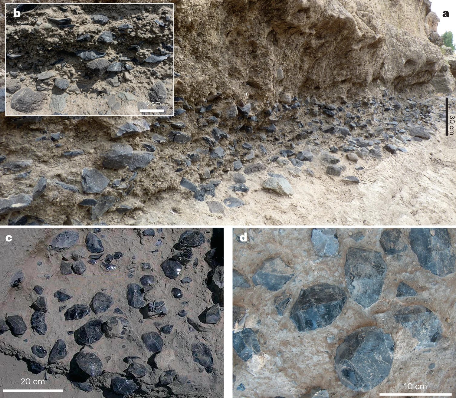 埃塞俄比亚阿瓦什山谷发现120万年前的黑曜石手斧制作车间