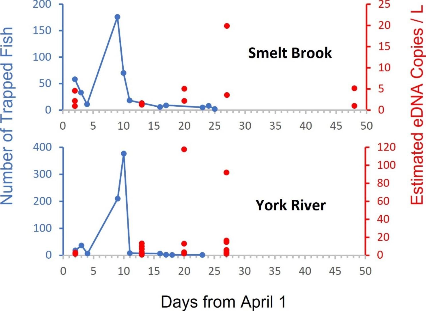 �о�����eDNA���԰������ʺ�����ζ