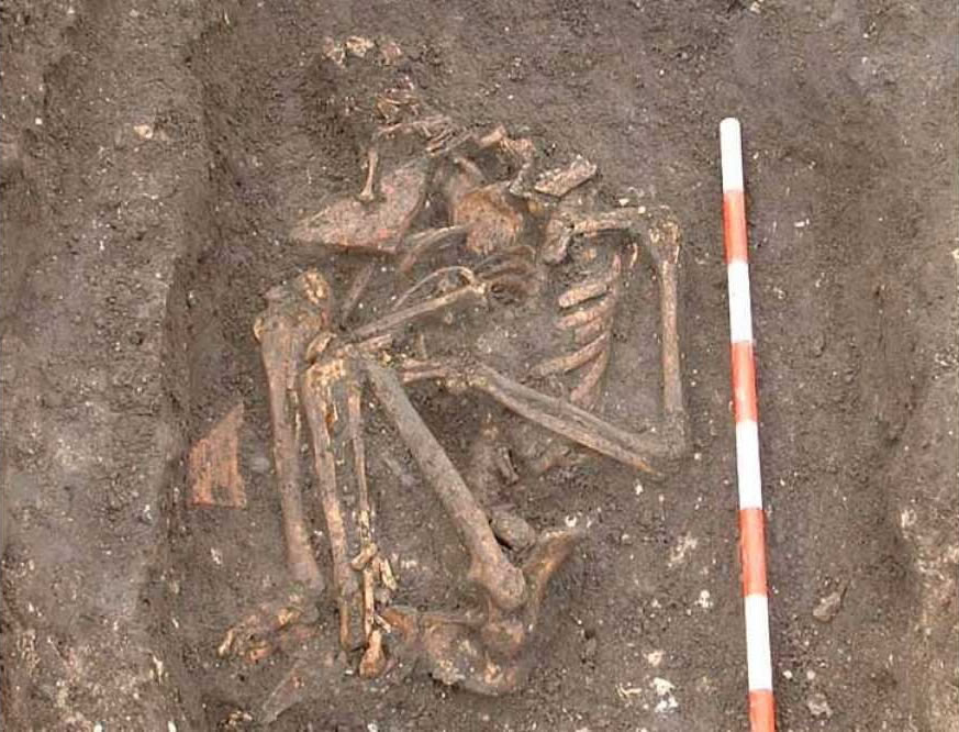 《中世纪考古学》杂志：约克巴比肯遗址神秘骨架很可能是伊莎贝尔·德尔曼夫人