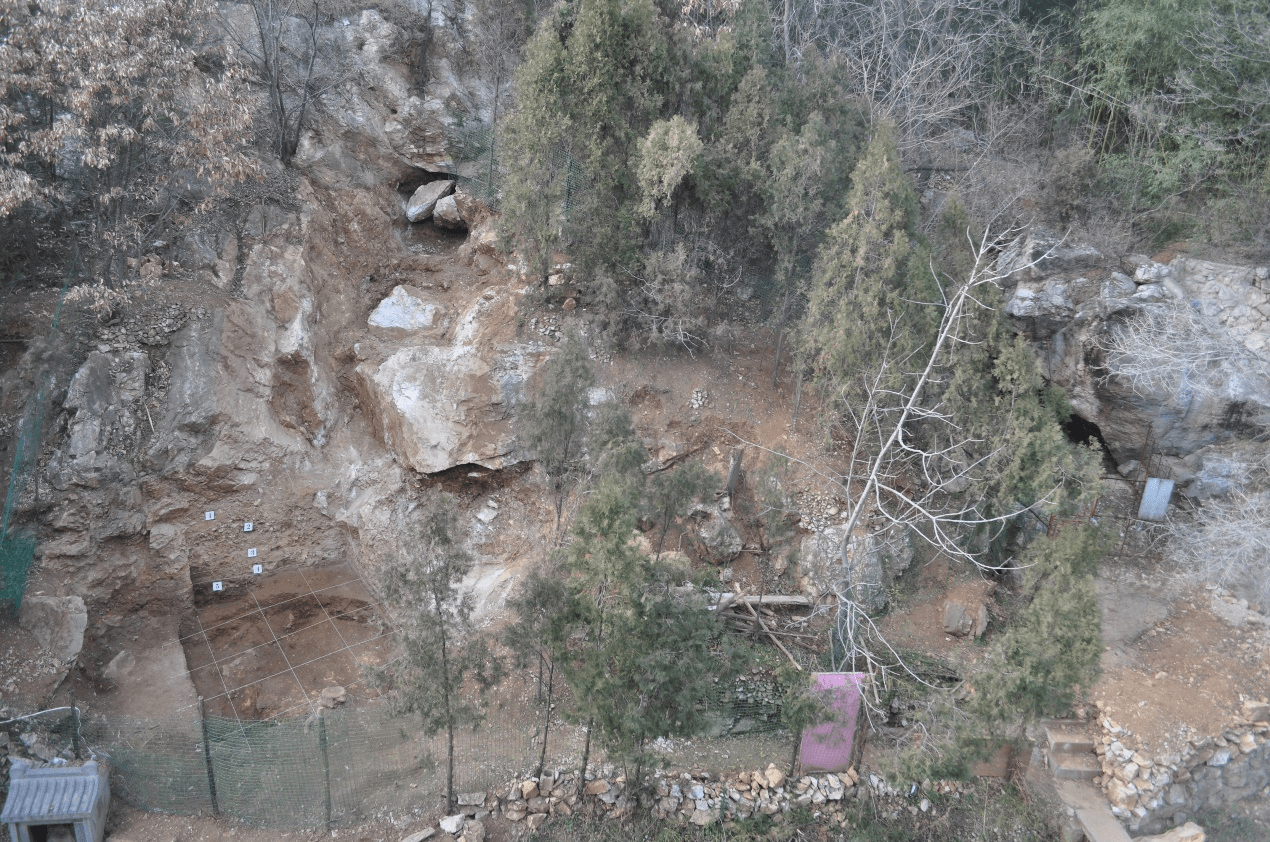 栾川龙泉洞旧石器时代晚期遗址新发现4300余件石制品、动物化石和骨器