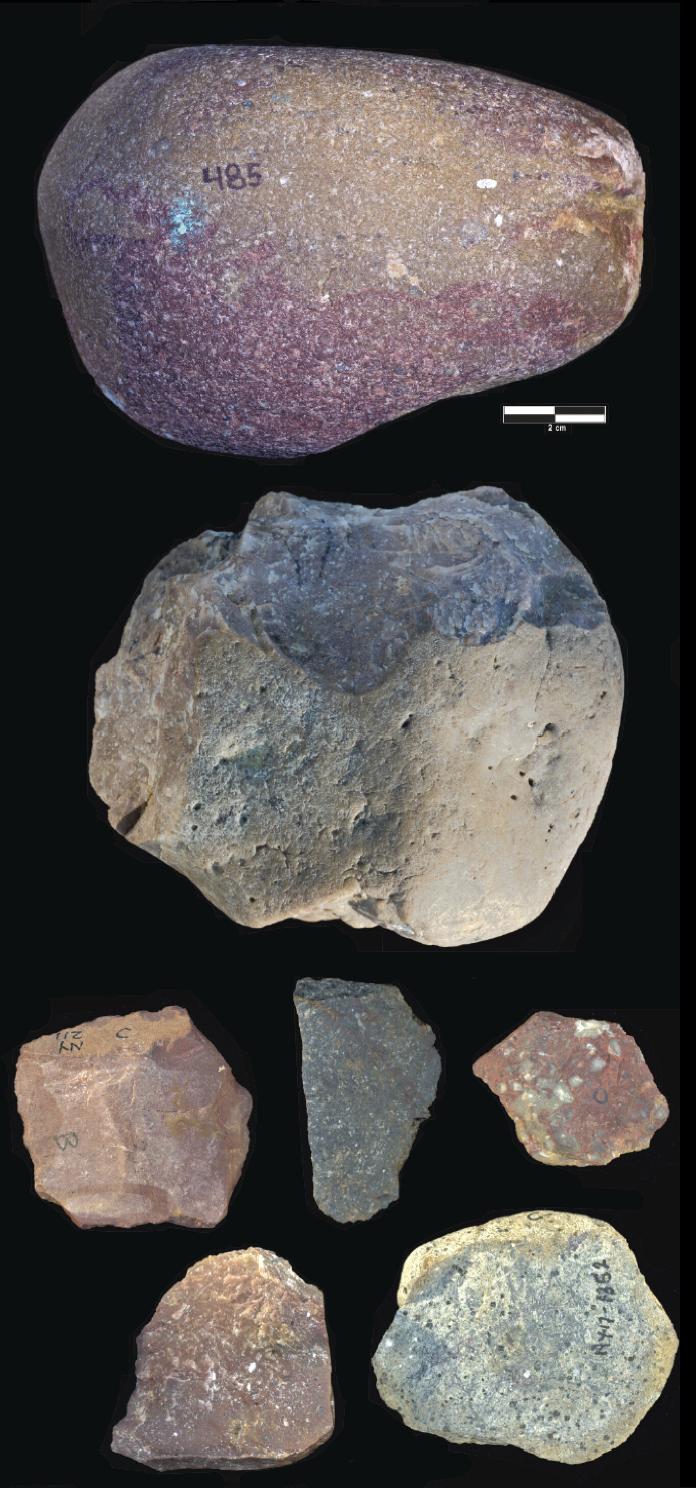 肯尼亚石器时代的发现加深了谁制造了早期工具的谜团