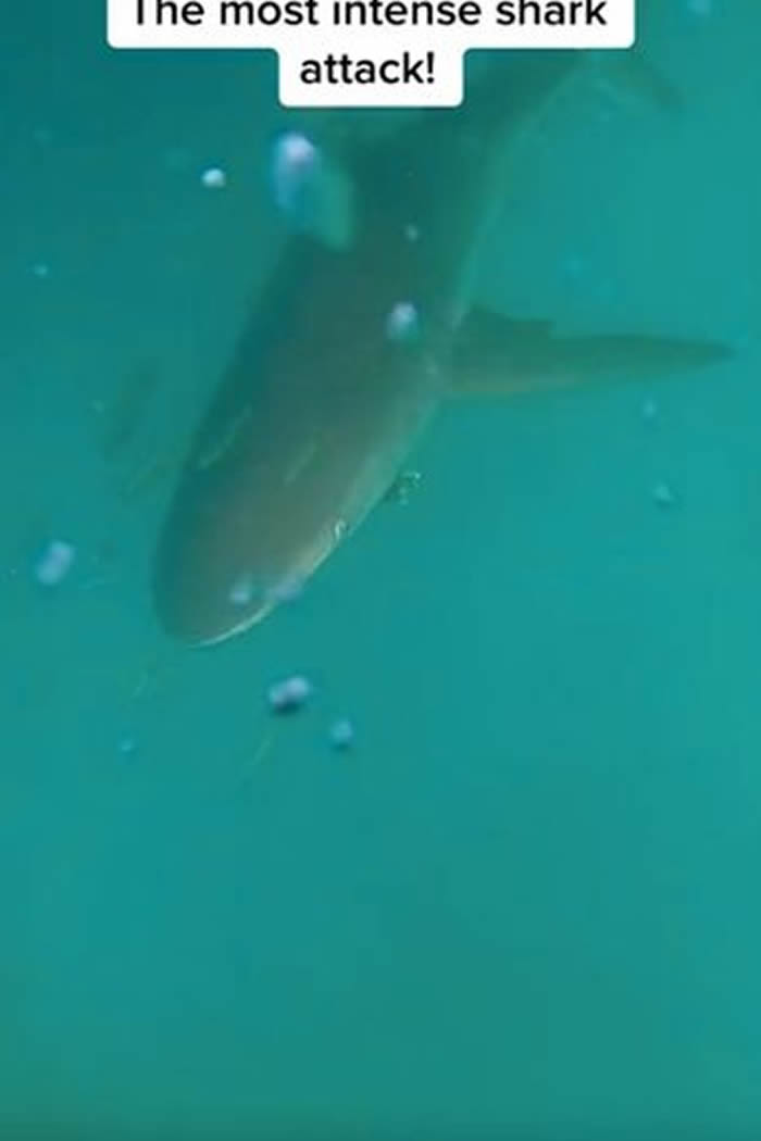 ��������Ǳˮʱ�����㹥�� �ý���������������