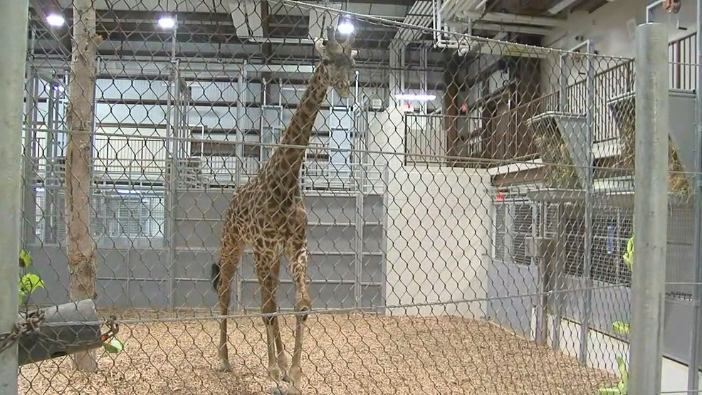 ŦԼ޳˹ڿ԰԰6곤¹ĳӿΧ۶ϵ