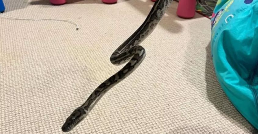 ������ʿ��8���к���ҹʹ�Ѻ���һ����̺���������������ֱ�