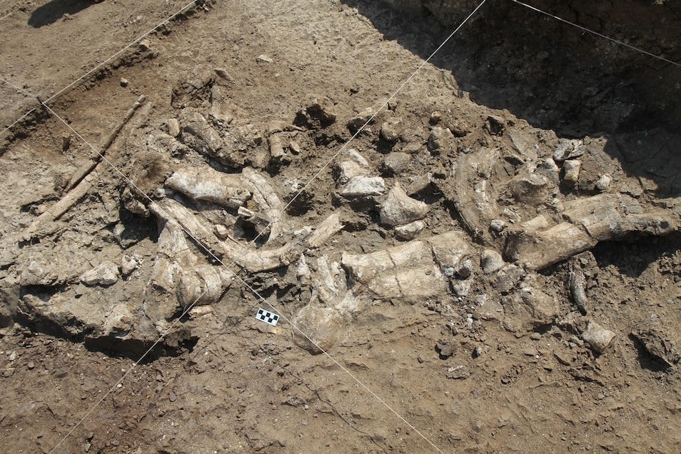 肯亚西出土300万年前石器：并非出自我们的祖先之手 石器的主人是人傍人