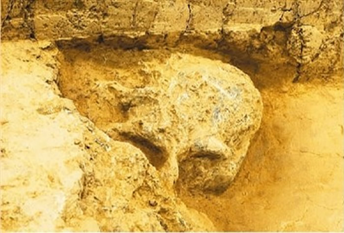 2022й·֡ʮѧ()ʯʱַѡ