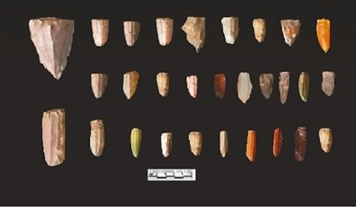 2022й·֡ʮѧ()ʯʱַѡ