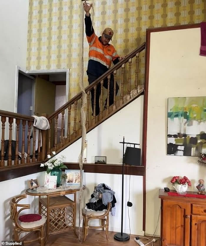 ϲ˹Աڼ4.3׳Ƥ ׽ġˡձĪ