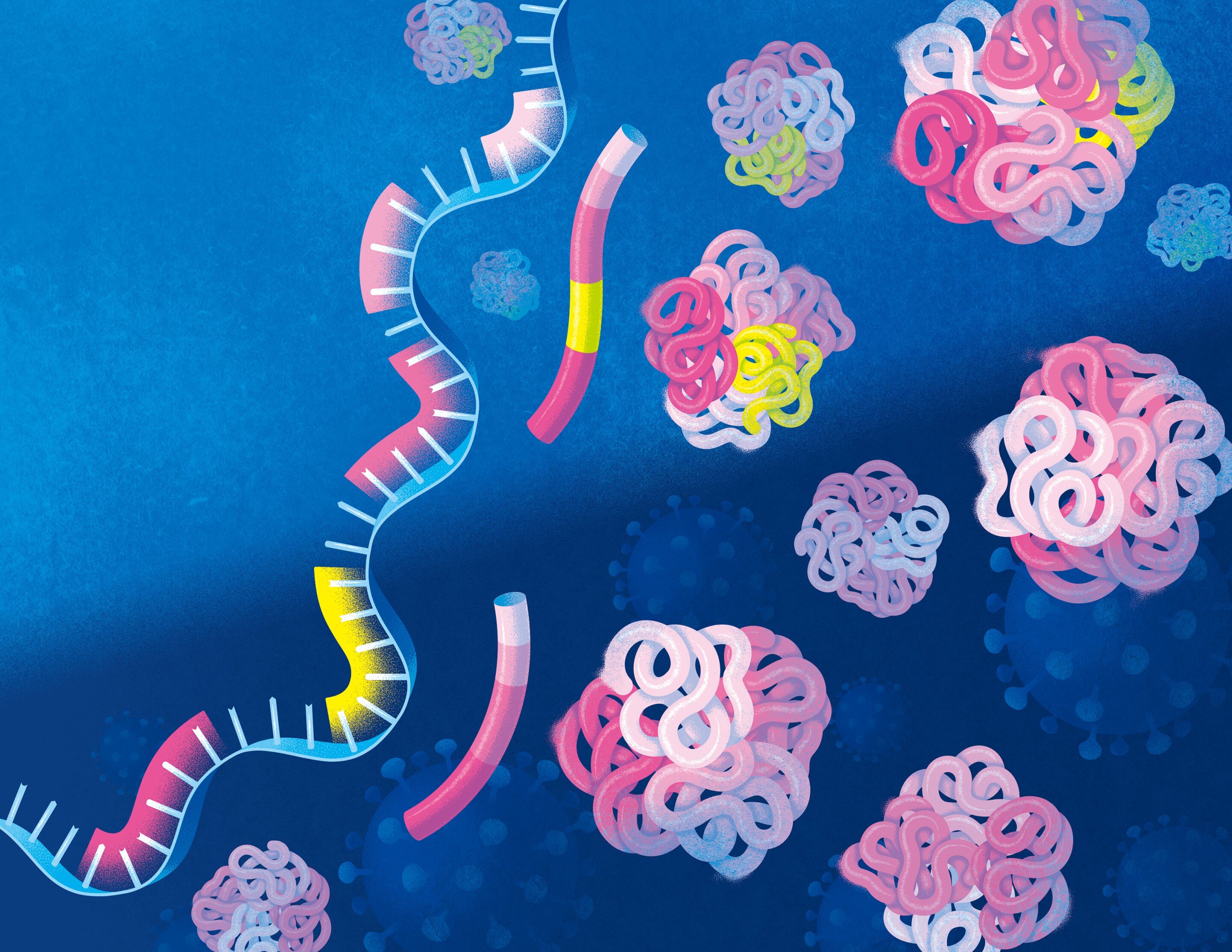 《细胞报告方法》:新的测试方法以近乎完美的准确度诊断新冠肺炎