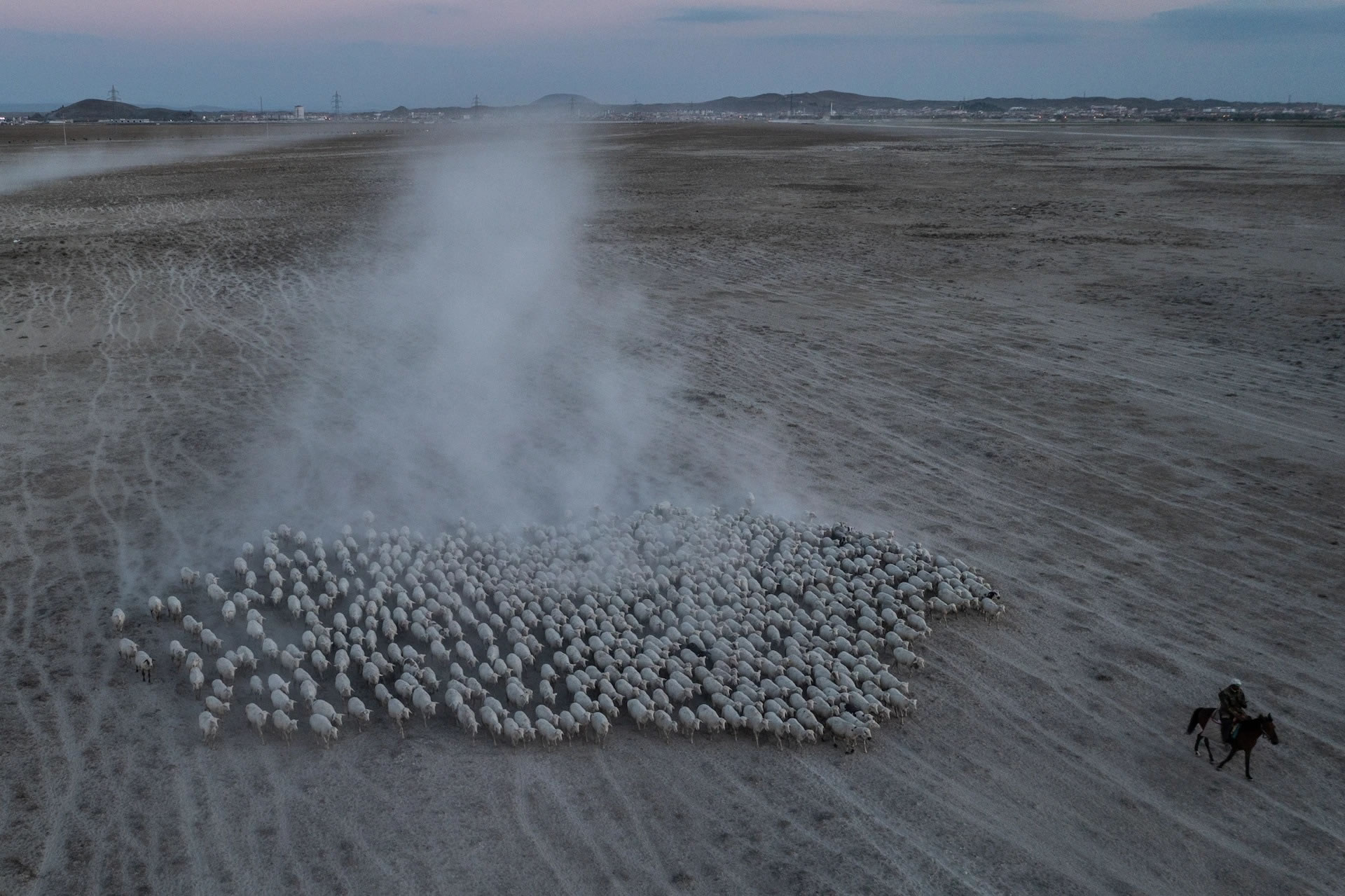3200年古老树木揭示青铜时代赫梯帝国崩毁的神秘面纱