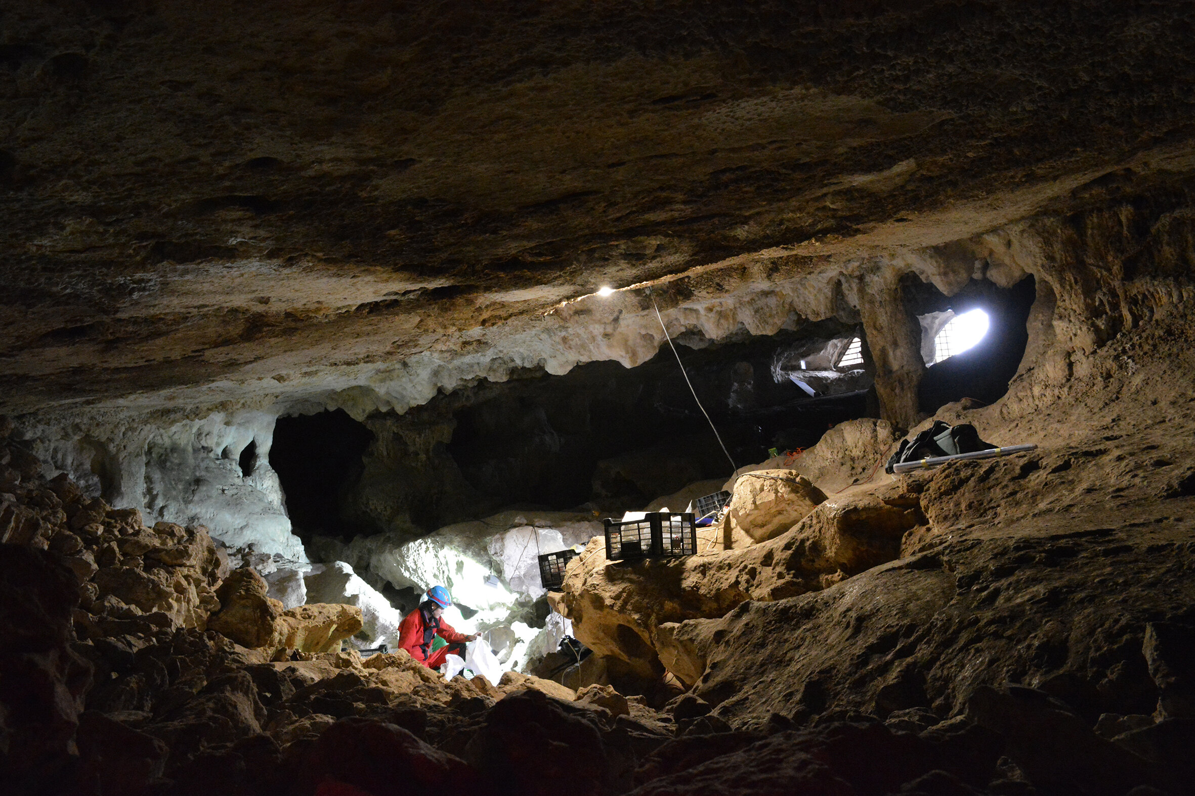 西班牙南部Cueva del Malalmuerzo迄今为止最古老的人类基因组