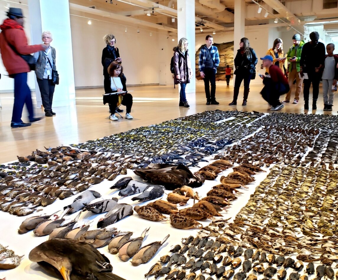 �о������������ݶ��ڼ�������������ײ��������������Ҫ